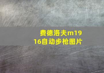 费德洛夫m1916自动步枪图片