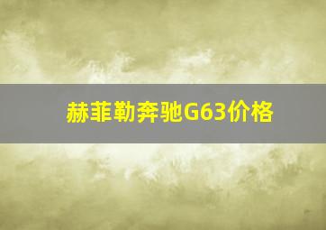 赫菲勒奔驰G63价格