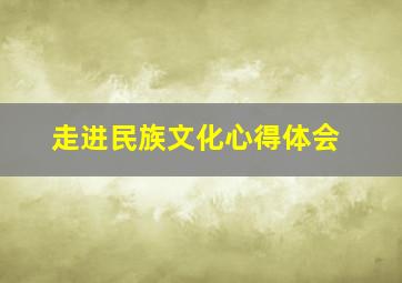 走进民族文化心得体会