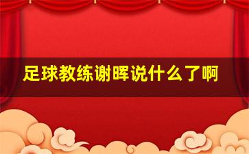 足球教练谢晖说什么了啊