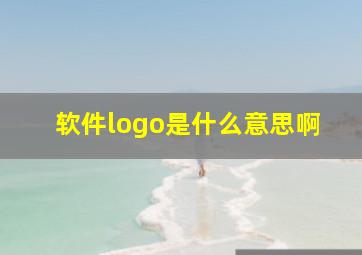 软件logo是什么意思啊