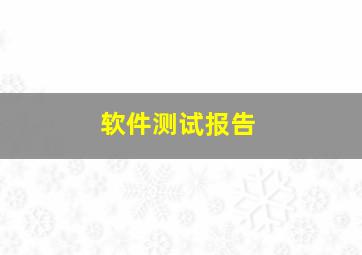 软件测试报告