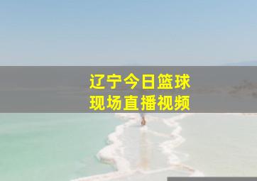 辽宁今日篮球现场直播视频