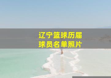 辽宁篮球历届球员名单照片