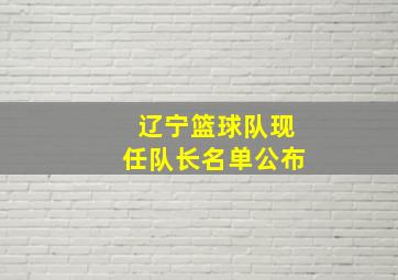 辽宁篮球队现任队长名单公布