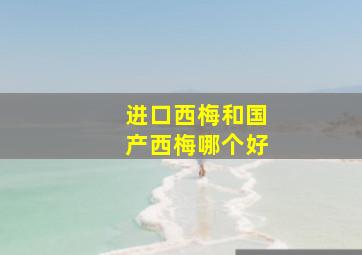 进口西梅和国产西梅哪个好