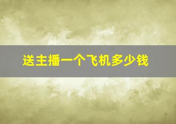 送主播一个飞机多少钱