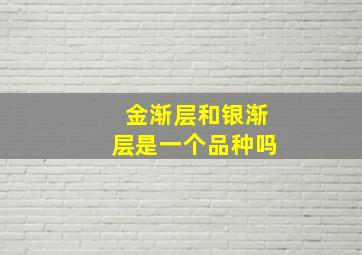 金渐层和银渐层是一个品种吗