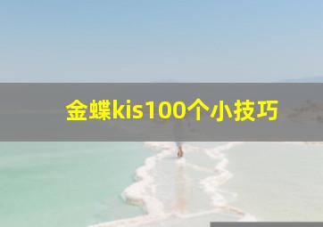 金蝶kis100个小技巧