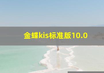 金蝶kis标准版10.0