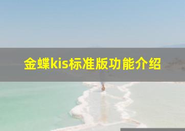 金蝶kis标准版功能介绍