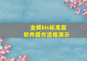 金蝶kis标准版软件操作流程演示