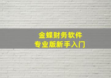 金蝶财务软件专业版新手入门