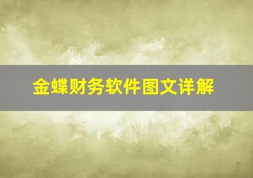 金蝶财务软件图文详解