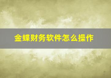 金蝶财务软件怎么操作