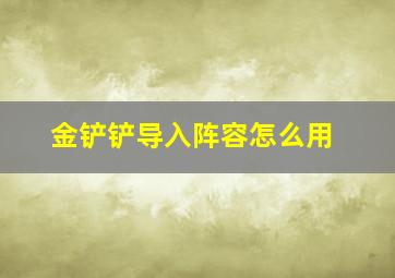 金铲铲导入阵容怎么用