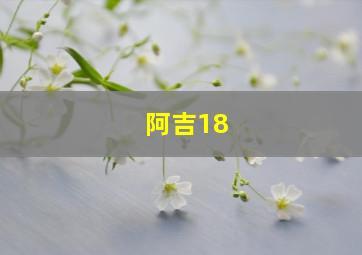 阿吉18