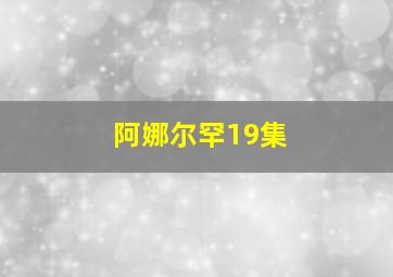 阿娜尔罕19集