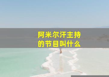 阿米尔汗主持的节目叫什么