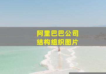 阿里巴巴公司结构组织图片