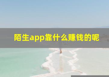 陌生app靠什么赚钱的呢