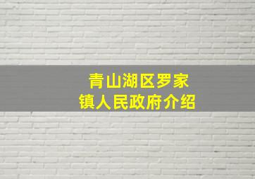 青山湖区罗家镇人民政府介绍