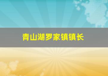 青山湖罗家镇镇长