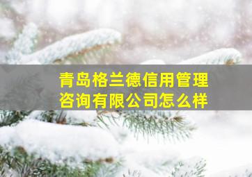 青岛格兰德信用管理咨询有限公司怎么样