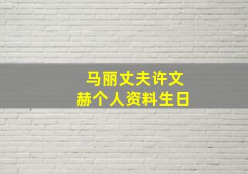 马丽丈夫许文赫个人资料生日