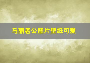 马丽老公图片壁纸可爱