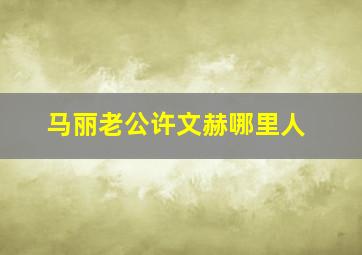 马丽老公许文赫哪里人