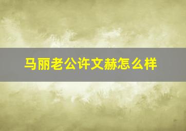 马丽老公许文赫怎么样