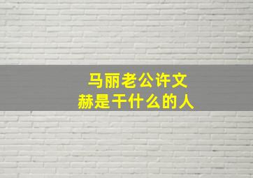 马丽老公许文赫是干什么的人