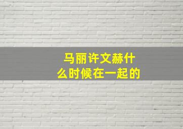 马丽许文赫什么时候在一起的