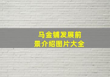 马金铺发展前景介绍图片大全