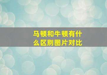 马顿和牛顿有什么区别图片对比