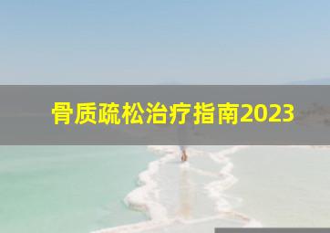 骨质疏松治疗指南2023