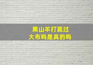 黑山羊打赢过大布吗是真的吗