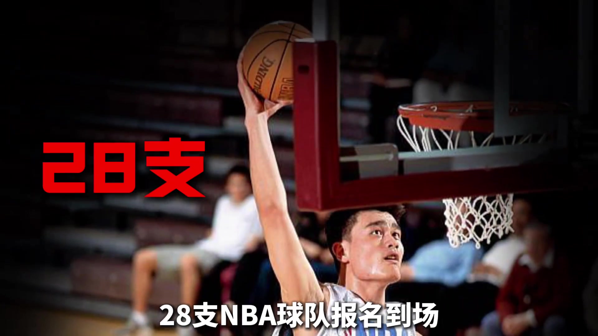 为了考察菜鸟姚明，NBA举办了历史规模最大的一次试训