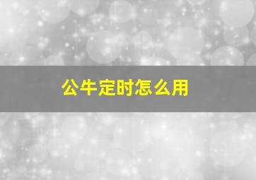 公牛定时怎么用