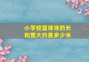 小学校篮球场的长和宽大约是多少米