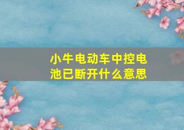 小牛电动车中控电池已断开什么意思