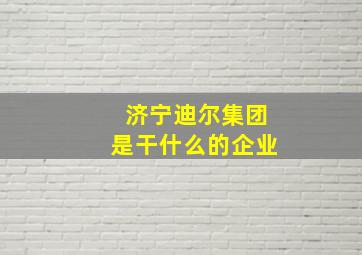 济宁迪尔集团是干什么的企业