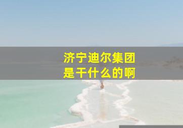 济宁迪尔集团是干什么的啊