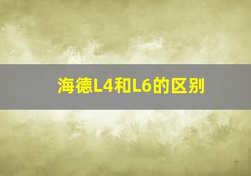 海德L4和L6的区别